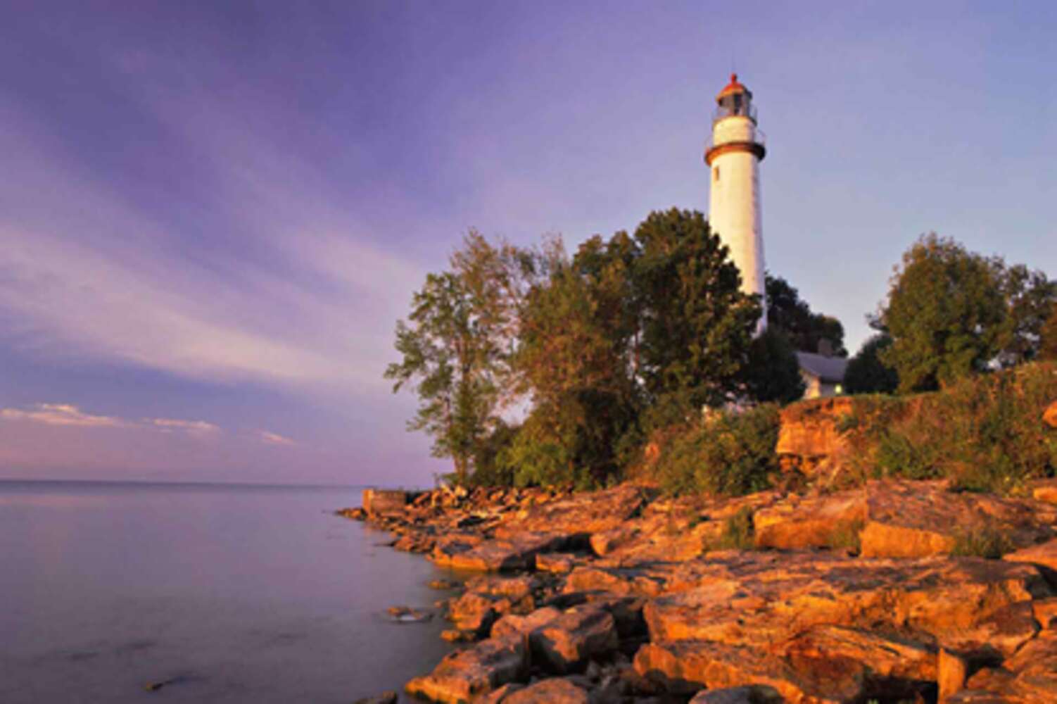 Выйгранное дело о защите товарного знака